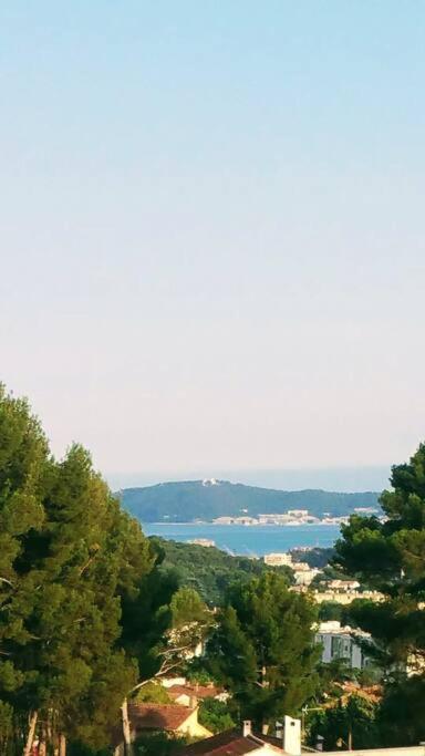 Villa Contemporaine F5 Cote Azur Ollioules Calme Exterior foto